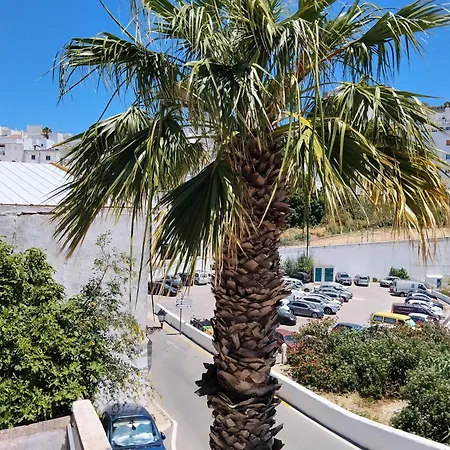 Estudio Capricho Vejer de la Frontera